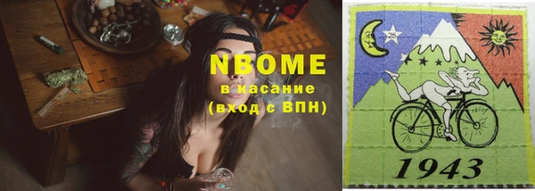 сатива Балахна
