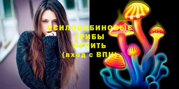 сатива Балахна