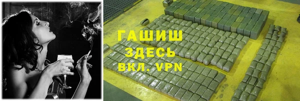 сатива Балахна