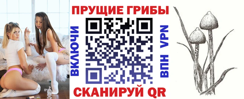 Псилоцибиновые грибы Magic Shrooms  цена наркотик  Озёры 